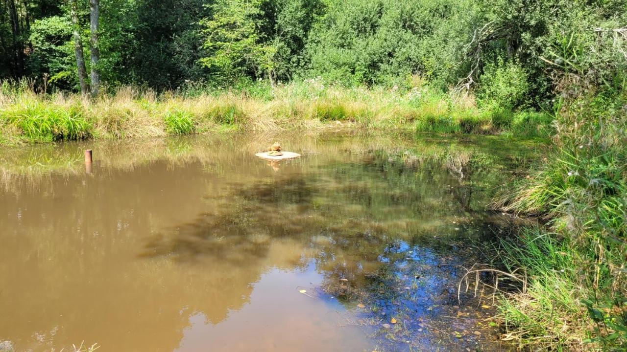 Vila La Grenouillette Mirwart Exteriér fotografie